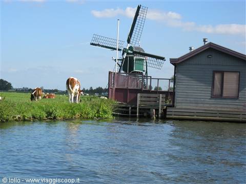 Leiden canal