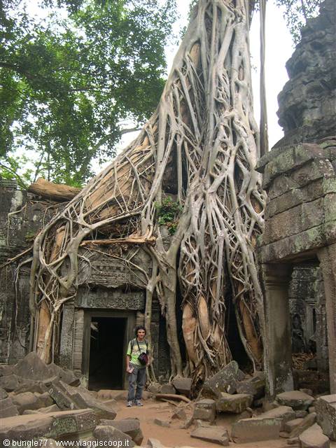 19 - Angkor - Ta Phrom - Gate