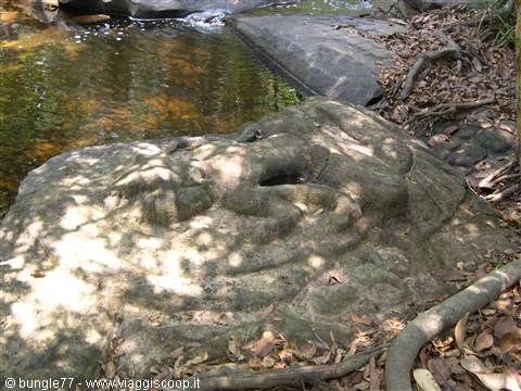 22 - Kbal Spean - Bas-relief 2