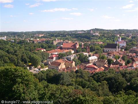 Red rooftops and churches of Vilnius surrounded by greenery under a blue sky