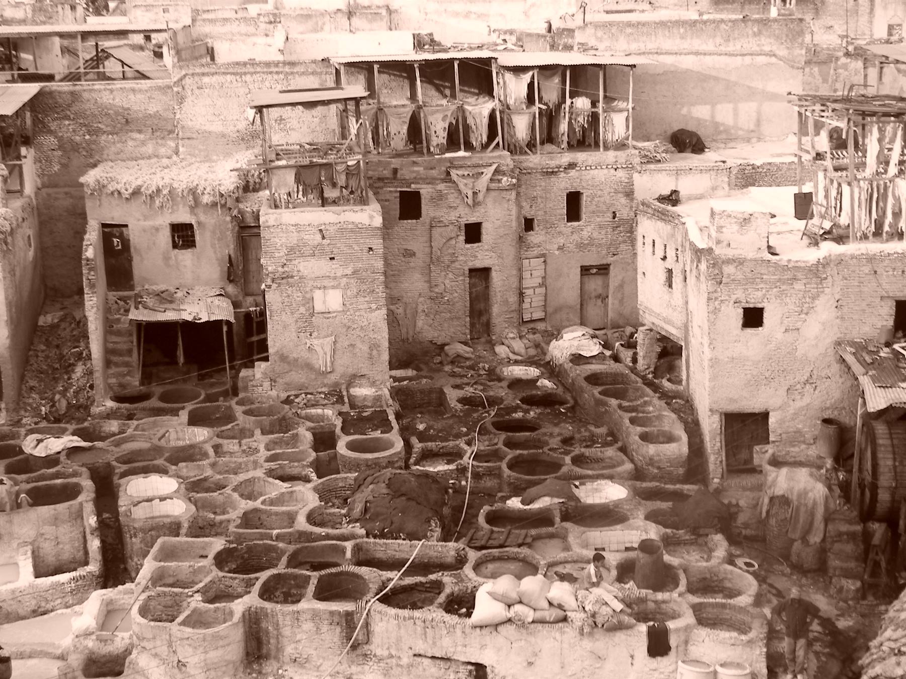 Fes tanneries: stone dyeing vats with hides and mud-brick houses under dry light