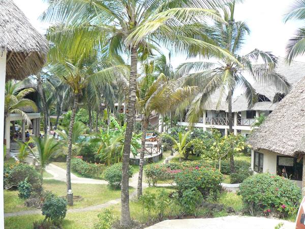 Palm trees and tropical gardens among thatched-roof bungalows of a resort