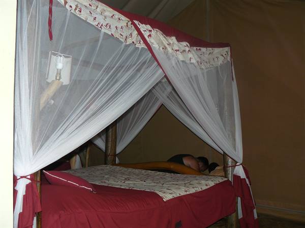 Our lodge in the savannah