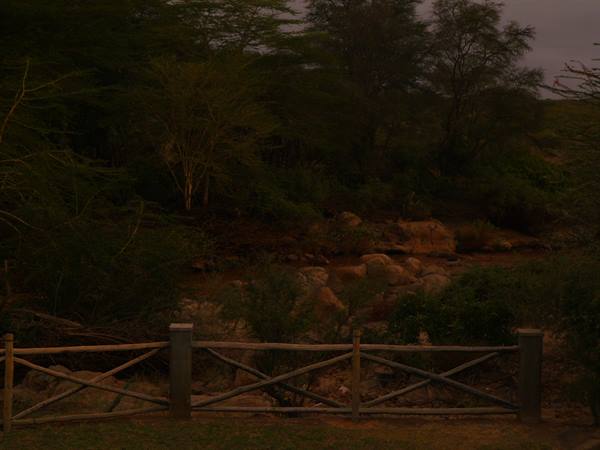 Wooden fence in front of bushes and trees in the bushland