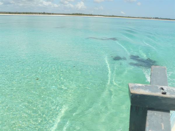 malindi towards the natural pools