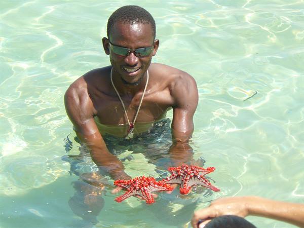 poor starfish :(