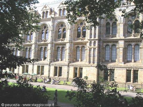 the main entrance of the Natural History Museum again