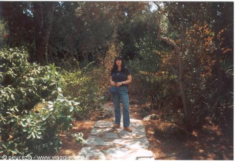 Ischia: botanical garden