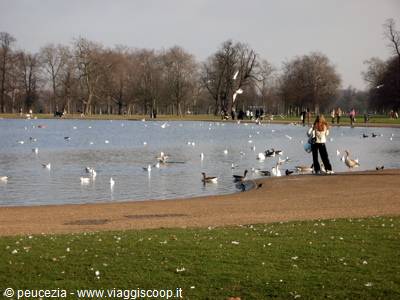Round Pond