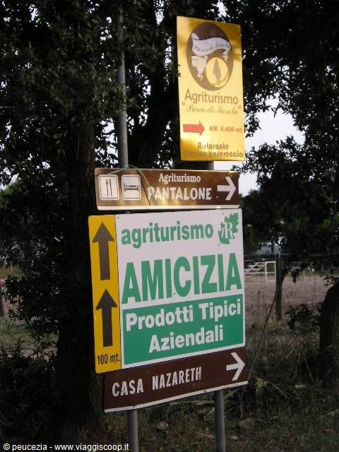 Farm stay and Casa Nazareth signs among trees, daylight