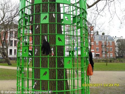 lost objects in the park