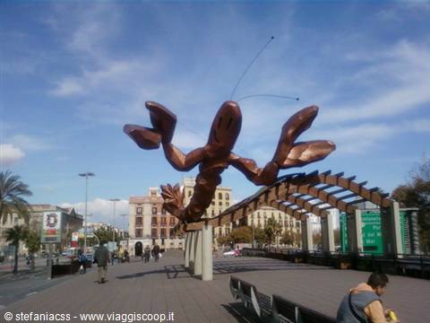 lobster on the seafront