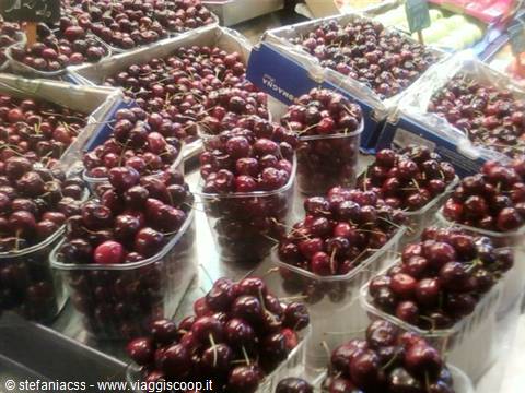 cherries in February