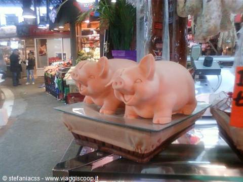 pink piglets