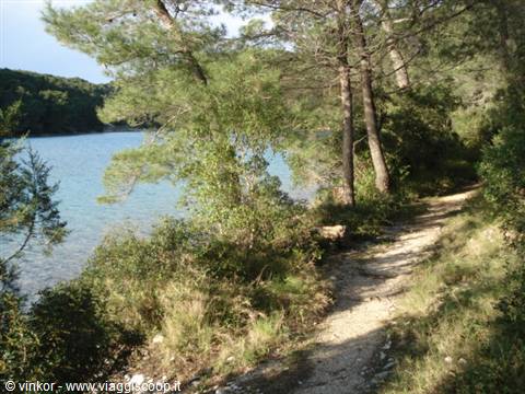 island of Mljet: path around the lake