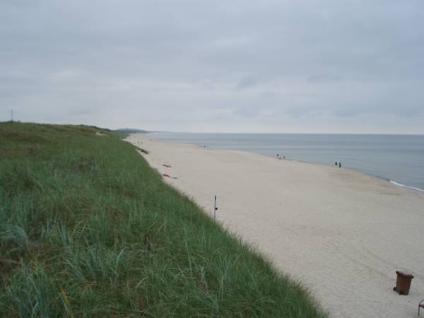 Grassy dunes above a sandy beach, people walking along the shore under cloudy sky