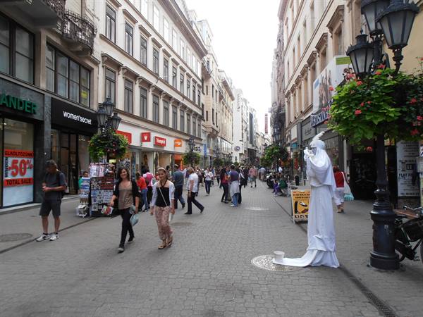 the shopping street