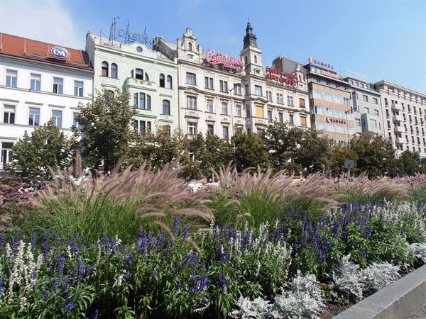 fine buildings in Wenceslas Square
