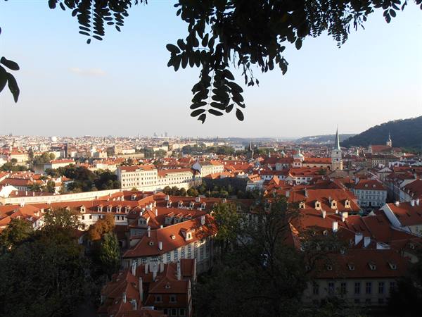 the view of the city from the castle