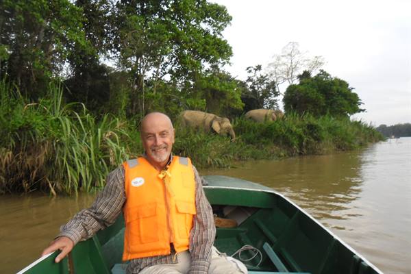 the Kinabatangan river in Sabah, Malaysian Borneo with the pygmy elephants