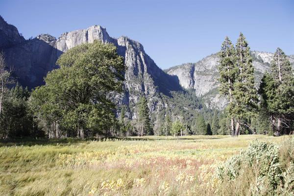 valley, yosemite park
