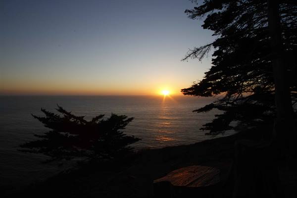 Setting sun over the ocean framed by dark conifers and a cut log