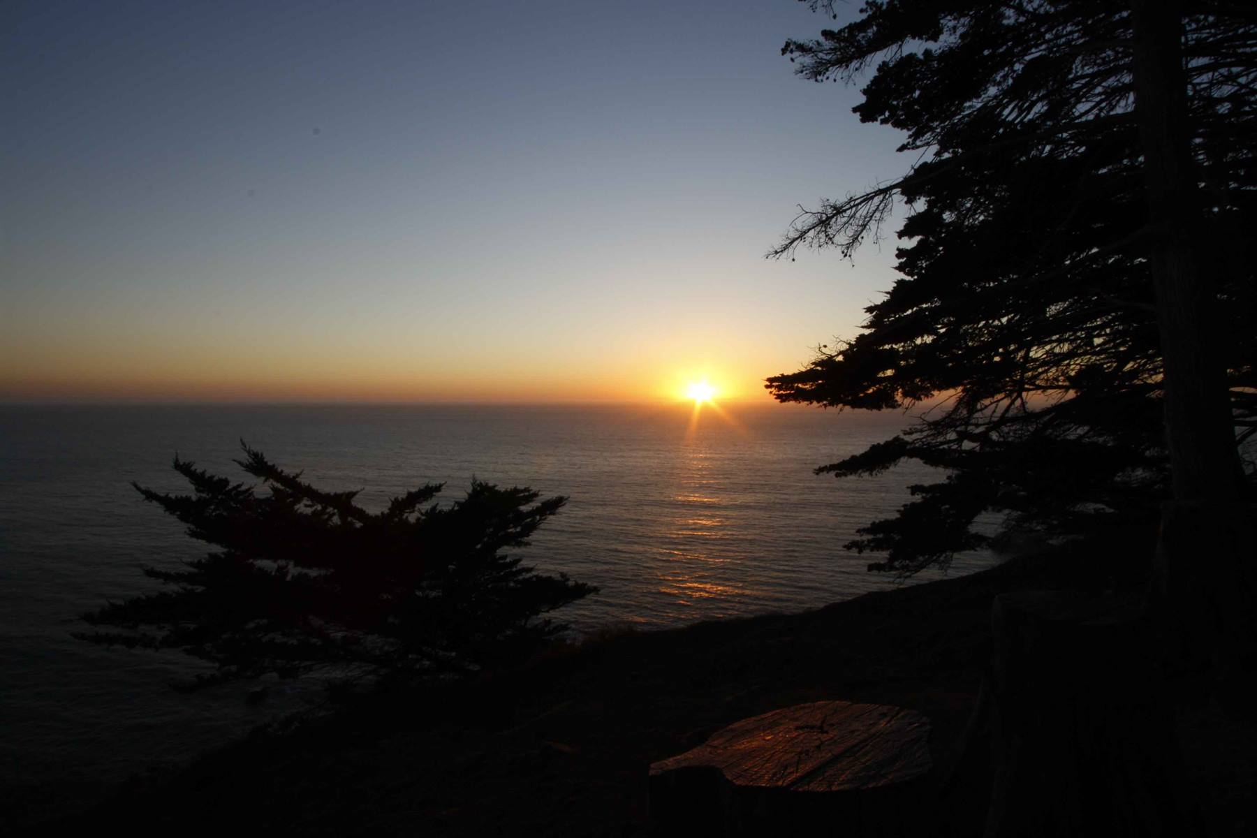 Setting sun over the ocean framed by dark conifers and a cut log