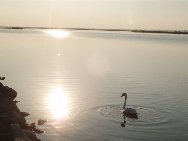 Lake Velence