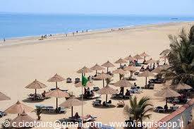 Beach with straw umbrellas, palm trees and tourists along the shore
