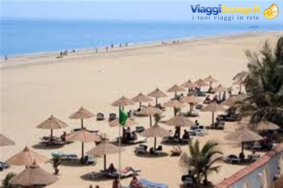 Beach with straw umbrellas, palm trees and tourists along the shore