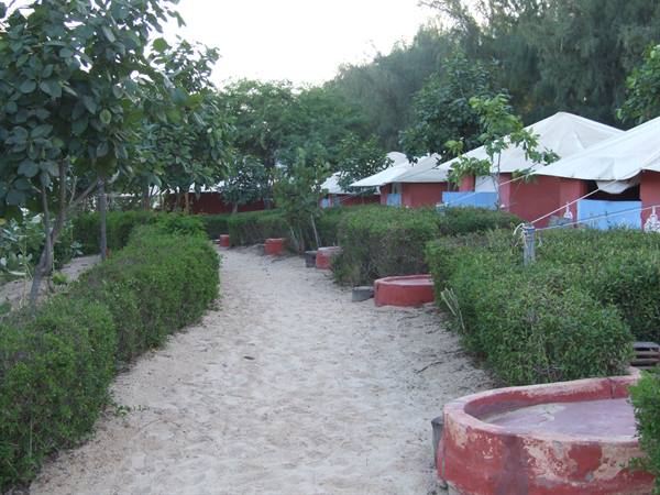 Sandy path between trimmed bushes and white canvas tents with red bases
