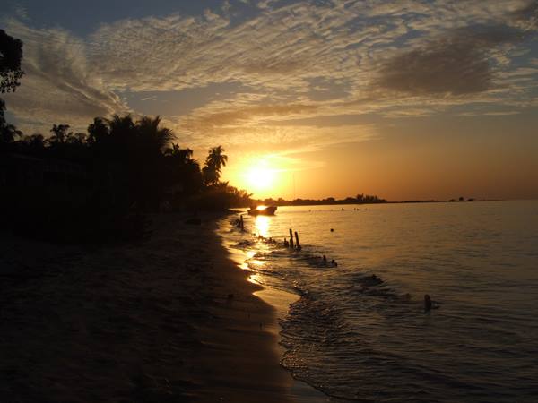 Low sun over the water among palms, swimmers and a boat near the sandy shore