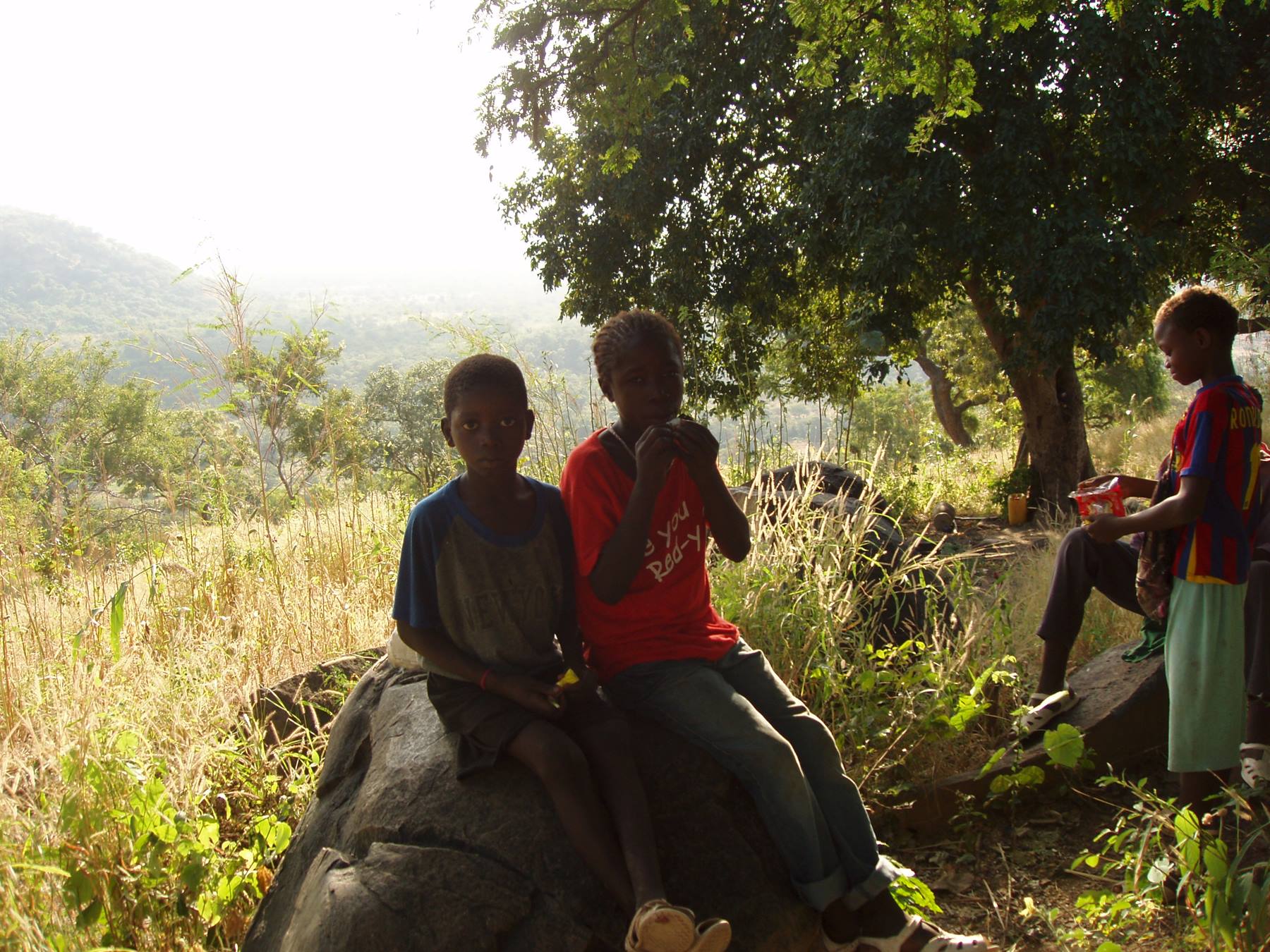 Boys sitting on a rock under a large tree, green hills in the background