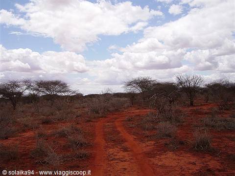 The red dirt road in the savannah