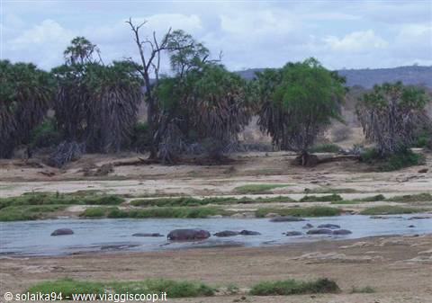 Hippo Point