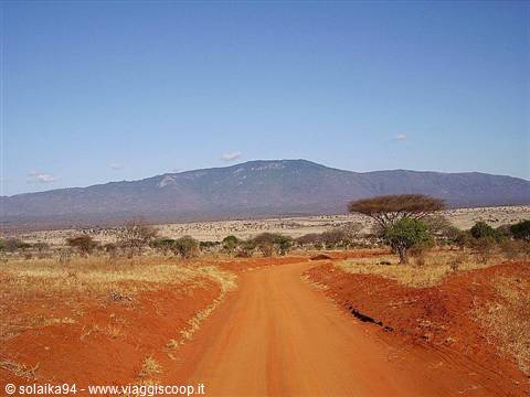 The road on the savannah