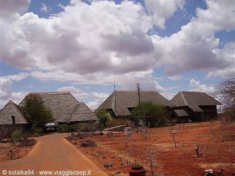 They leave the Tsavo