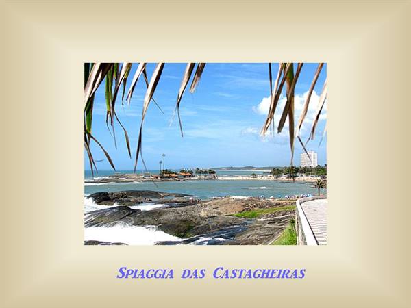 Das Castanheiras beach, waves on rocky shore, palm fronds, blue sky