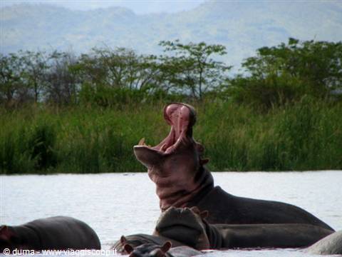 uuhhh what a yawn !!