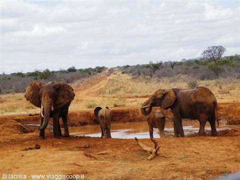 playing in the mud