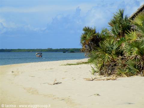 island of Shela