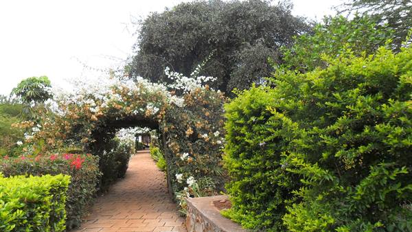 Viale Eileen's Tree Inn