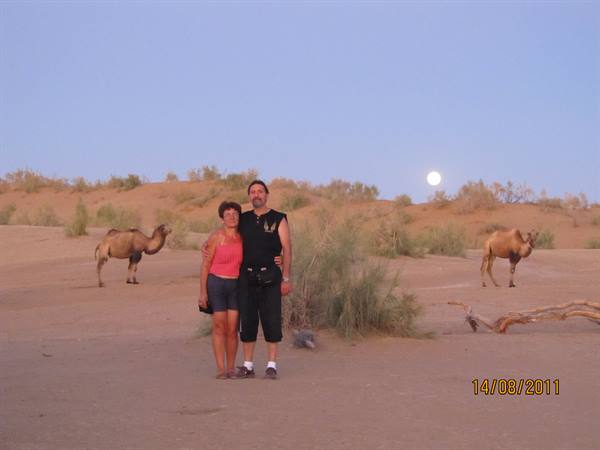 Couple posing in desert with two camels, full moon over dune