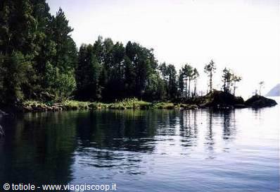 Conifer forest shoreline reflected in the calm lake water