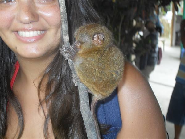 THE SMALLEST MONKEYS IN THE WORLD