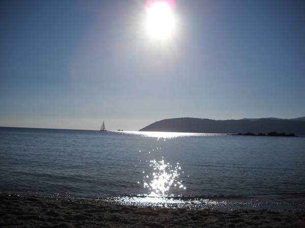 High sun over calm sea, a white sailboat near the dark coastline