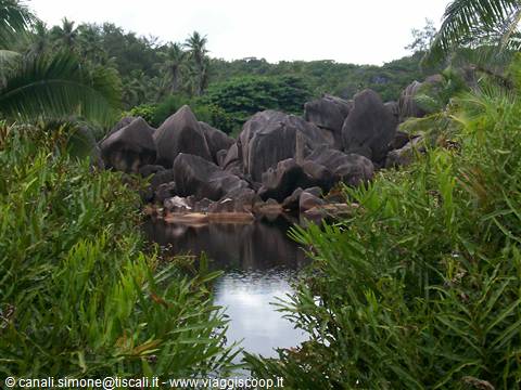Granite boulders framed by palms and lush tropical plants around a pond, La Digue