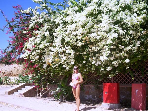 Woman in bikini under white and pink blossoms by red brick wall