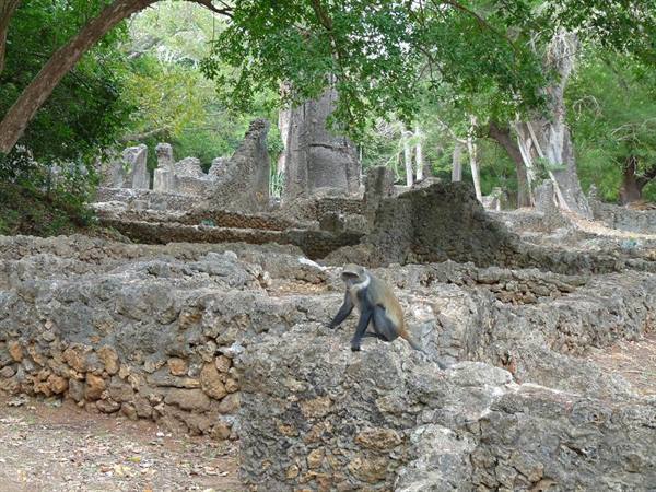 ruins of Gede