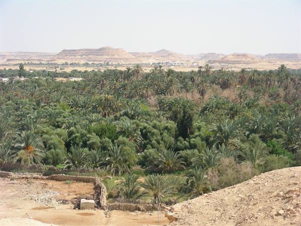 SIWA OASIS